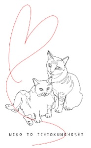 猫とイチオクノホシ